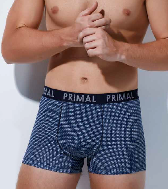 Koмплект памучни мъжки боксерки Primal B284 - 3 Броя в опаковка
